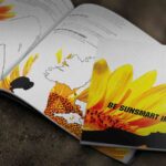 Secondary Schooling